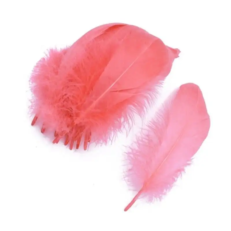 پر دریم کچر مدل R1 بسته 20 عددی