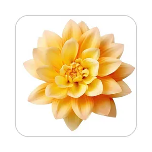 زیر لیوانی کاکتی طرح گل مدل mp17568