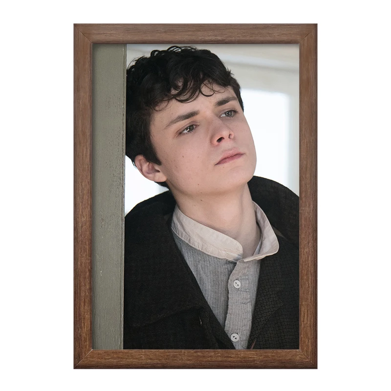 تابلو خندالو طرح گیلبرت سریال آنشرلی کد 28980