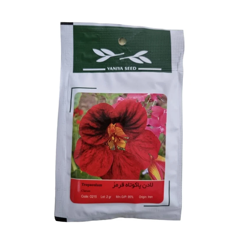 بذر گل لادن پاکوتاه قرمز وانیا سید مدل BR72