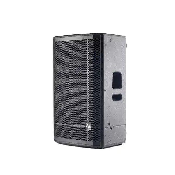 بلندگو پسیو آوا پرو اودیو مدل P151-V2