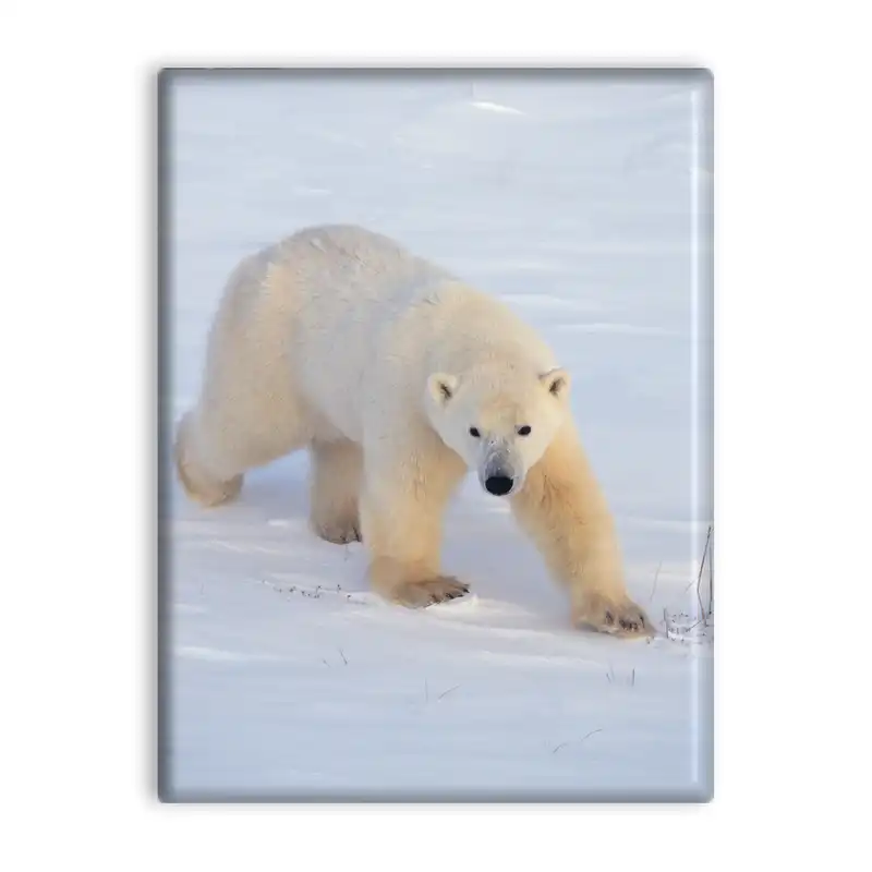 کاشی اطلس آبی طرح برف و خرس قطبی مدل T2060