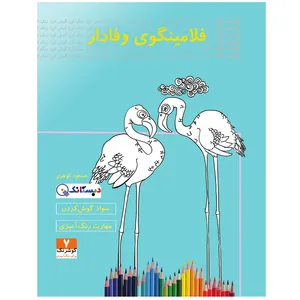 کتاب فلامینگوی وفادار اثر مسعود گوهری انتشارات دبستانک