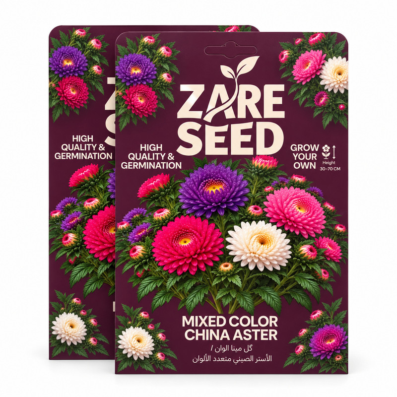 بذر گل مینا زارع سید مدل zs206 وزن ۵ گرم بسته ۲ عددی