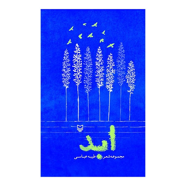 کتاب ابد اثر طیبه عباسی انتشارات سوره مهر