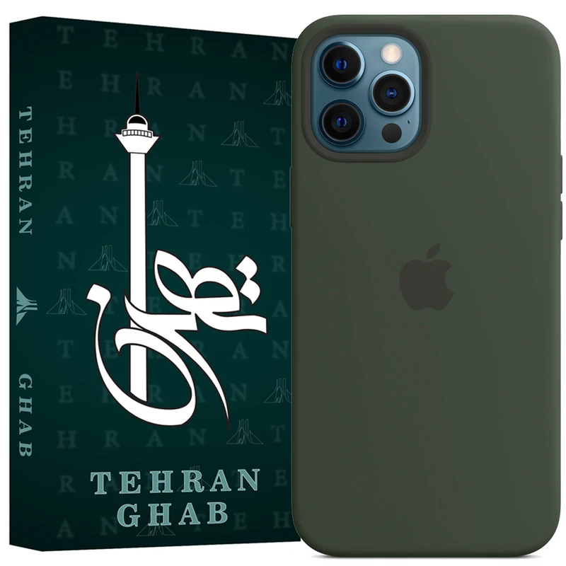 کاور تهران قاب مدل TSILB مناسب برای گوشی موبایل اپل iPhone 12 Pro Max