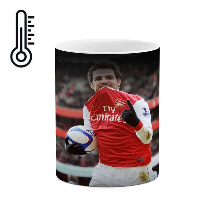 ماگ حرارتی کاکتی مدل فابرگاس کد mgh10442