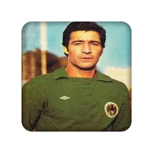 زیر لیوانی طرح مشاهیر کد 1126