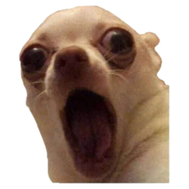 استیکر پارچه و لباس پاد آفرین مدل حیوانات سگ کد 2586