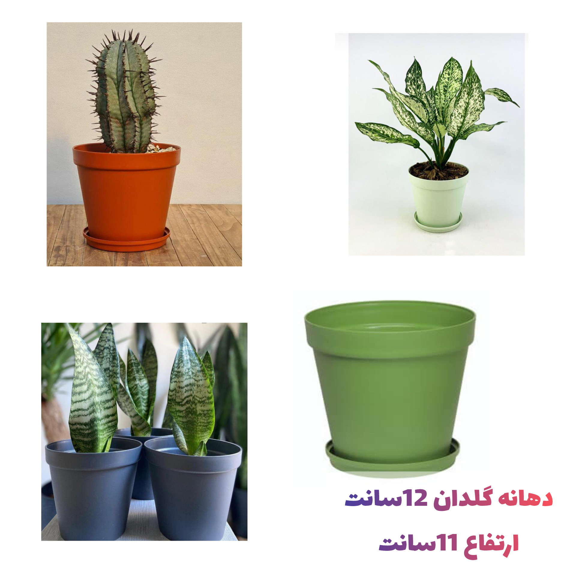 گلدان مدل رویال کد 1200 بسته 2 عددی