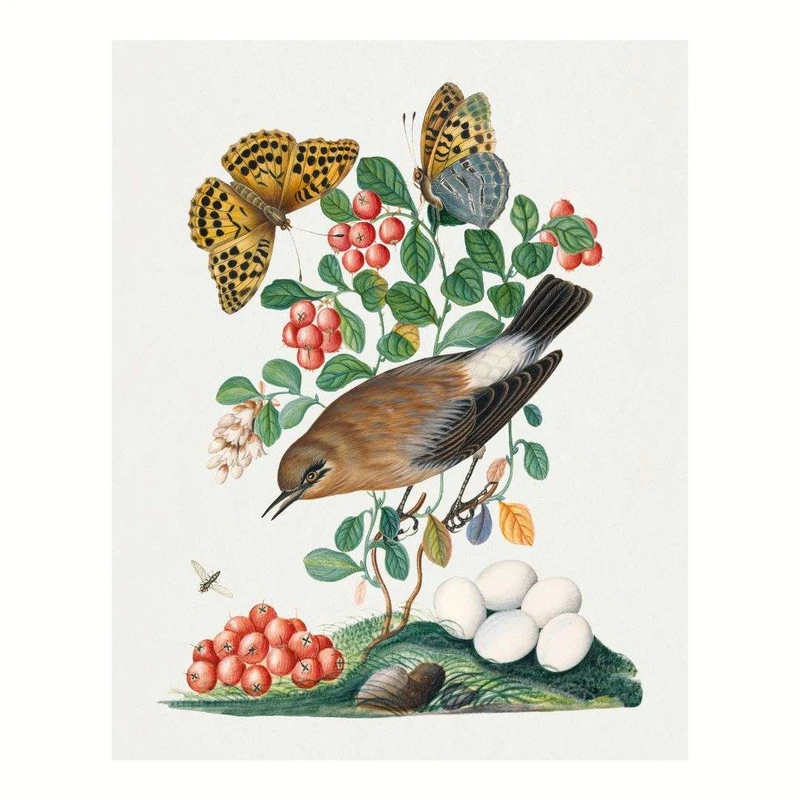 پوستر مدل چاپ قدیمی بلبل