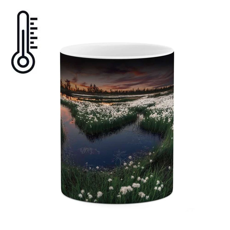 ماگ حرارتی کاکتی مدل منظره کد mgh17776