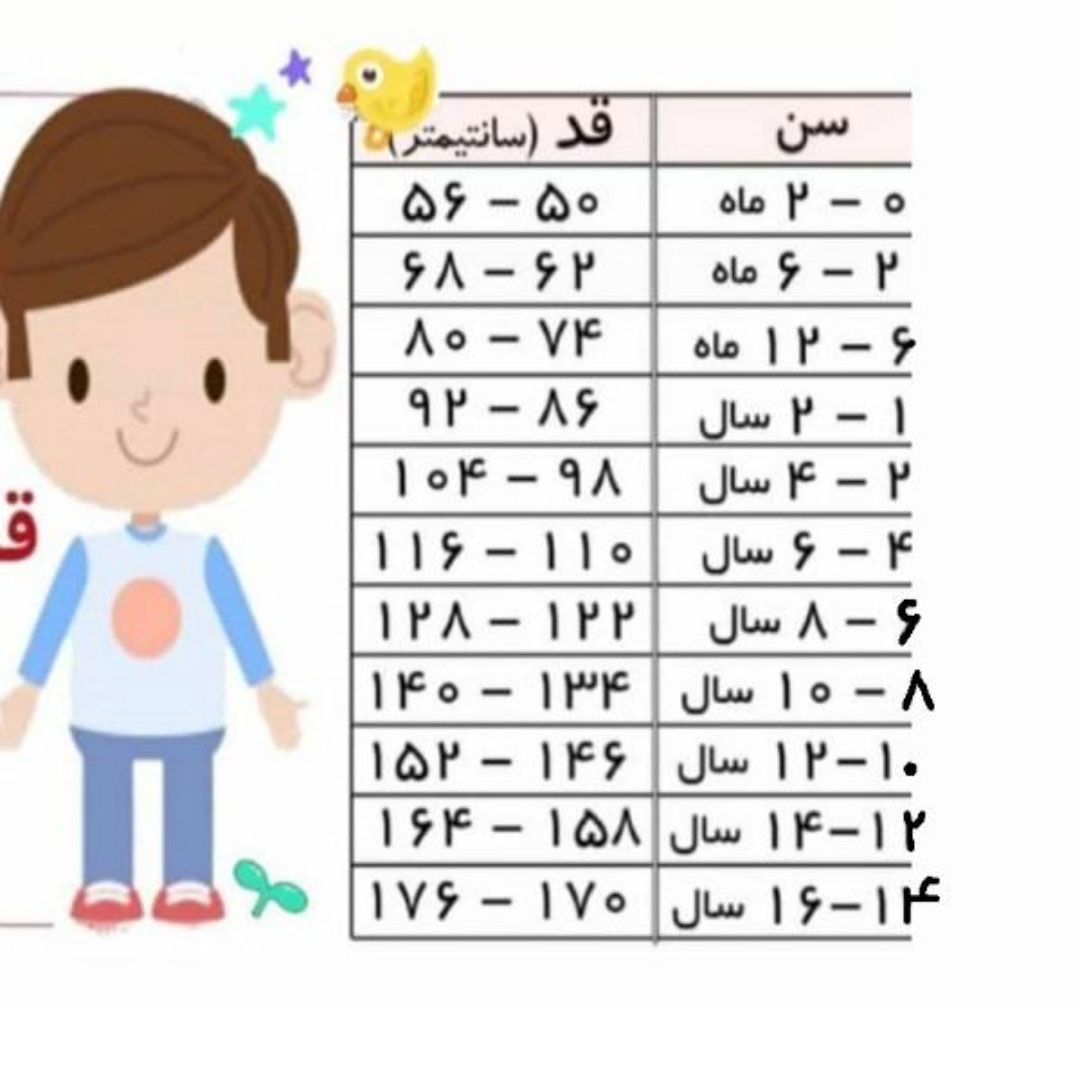 سویشرت  دخترانه لوپیلو مدل تو کرکی کد shsh28 -  - 3