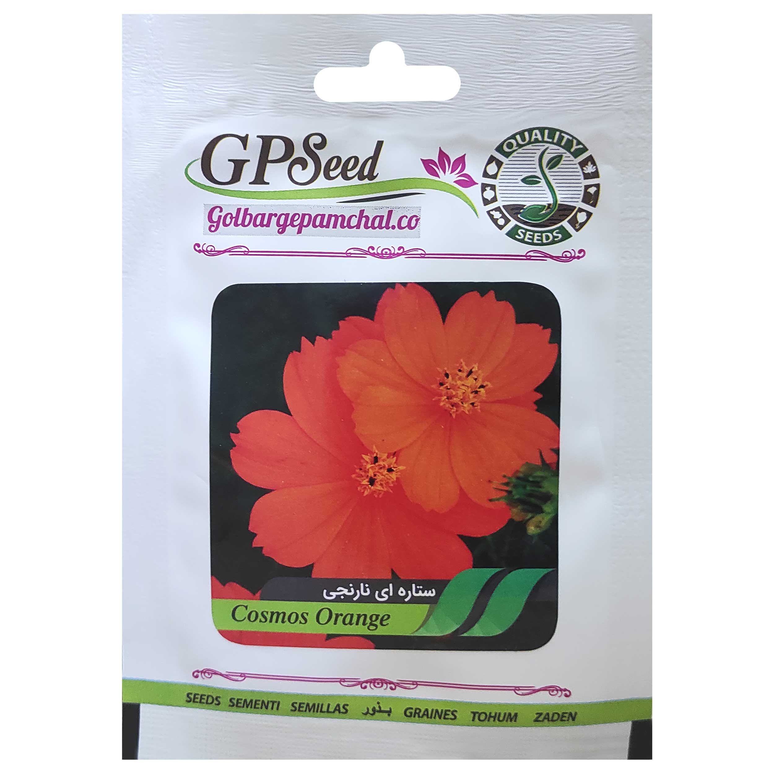 بذر گل ستاره ای نارنجی گلبرگ پامچال کد GPF-252