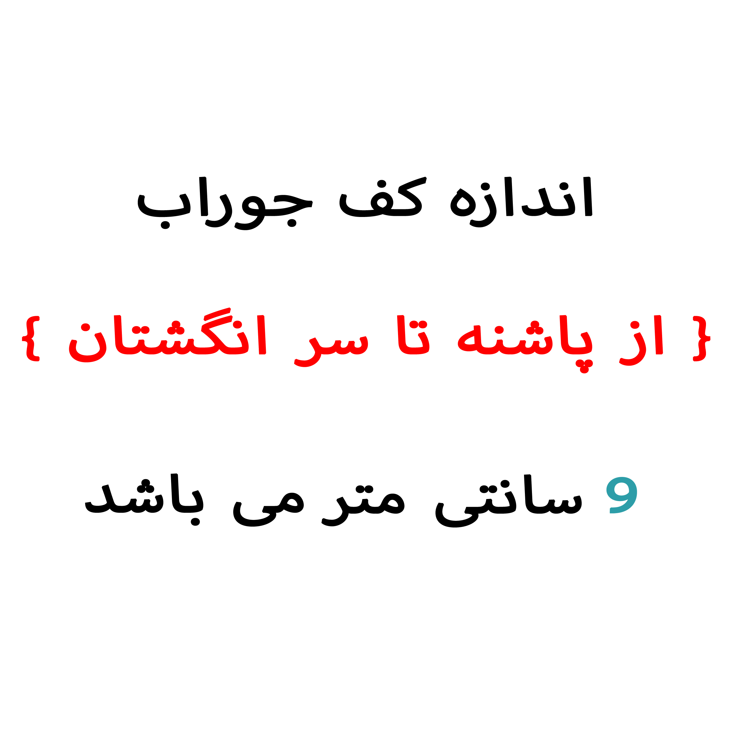 عکس شماره 2