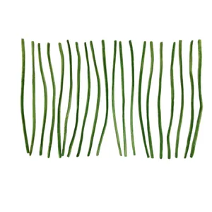 پیپ پاک کن مدل PIPMSCH20 بسته 20 عددی