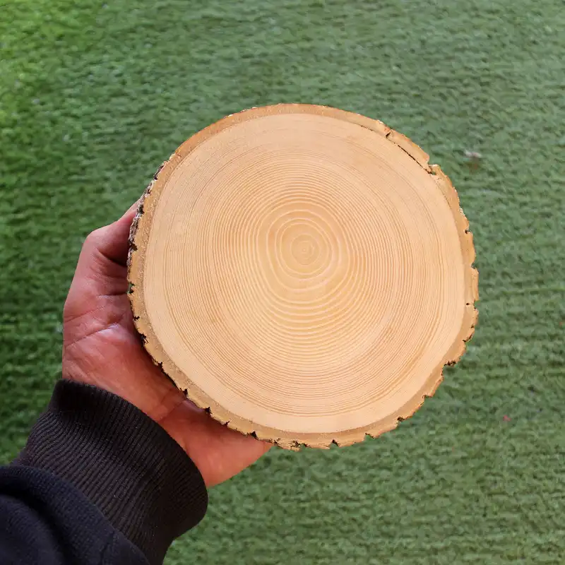 تخته چوب مدل زبان گنجشک کد a17