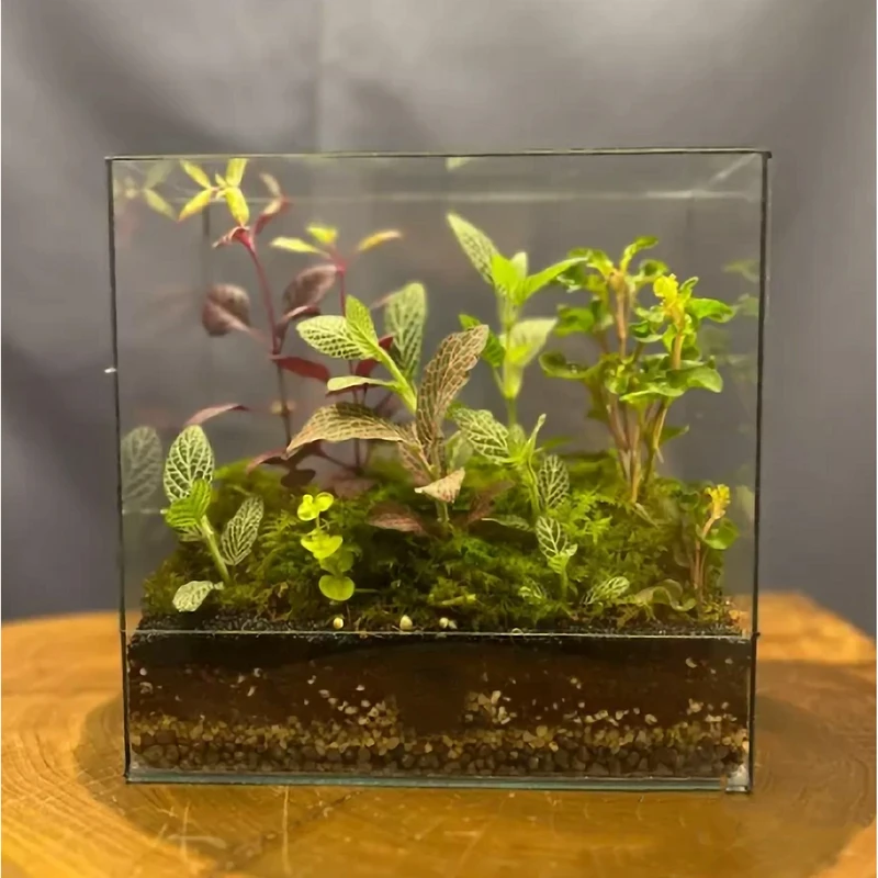 عکس شماره 3 : آکواریوم فیلی پلاست مدل ساده بسته 2 عددی