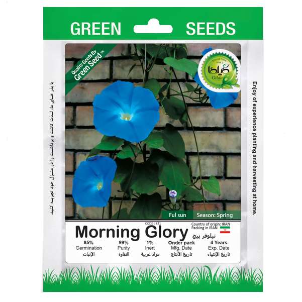 بذر نیلوفر پیچ گیلدا کد 821