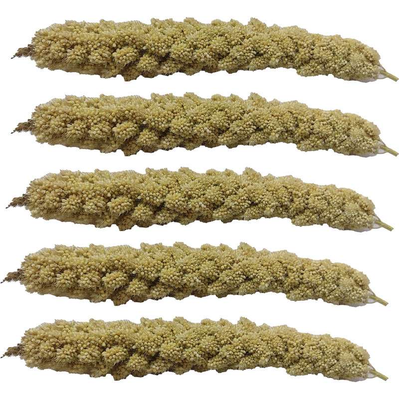 غذای پرندگان مدل ارزن خوشه ای کد 05 بسته 50 عددی