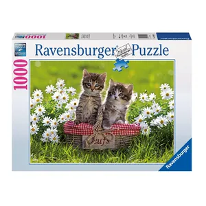 پازل 1000 تکه راونزبرگر مدل Picnic on the meadow کد 19480