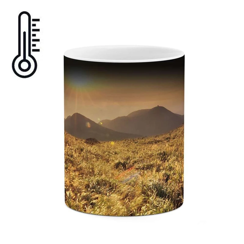 ماگ حرارتی کاکتی مدل غروب کد mgh11202