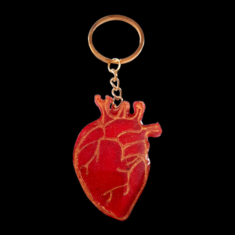 جاکلیدی رزینی مدل قلب آناتومی