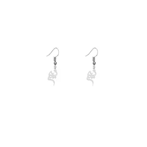 گوشواره نقره زنانه هایکا طرح نسیم  مدل n.ha531