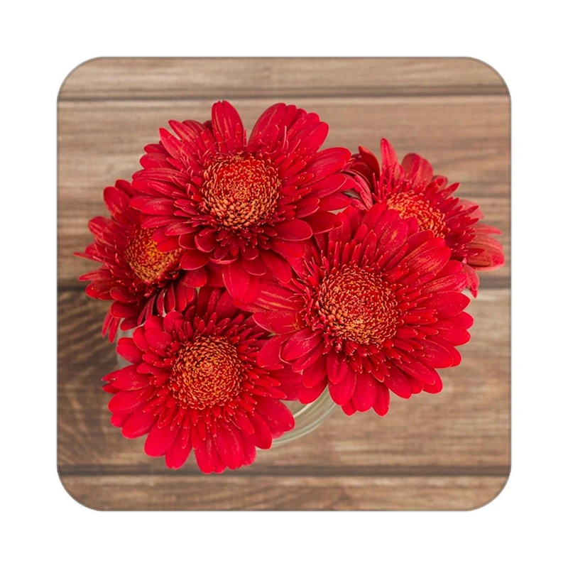 زیر لیوانی کاکتی طرح گل مدل mp19127