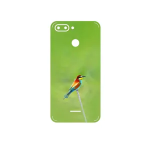 MAHOOT European bee-eater Cover Sticker for Xiaomi Redmi 6