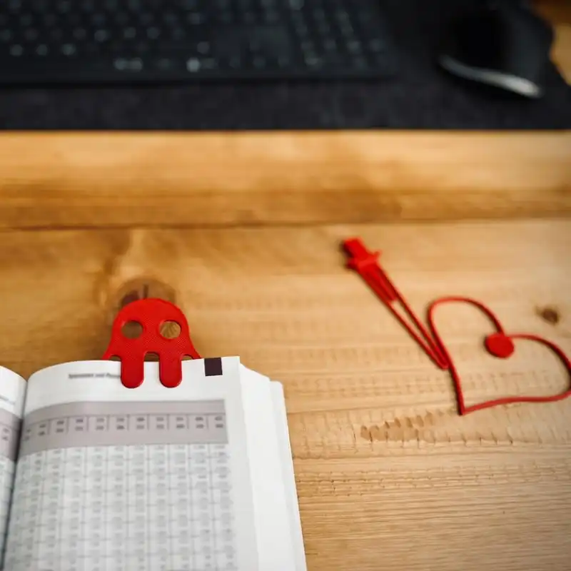 گیره نگهدارنده صفحه کتاب مدل روح بسته 2 عددی