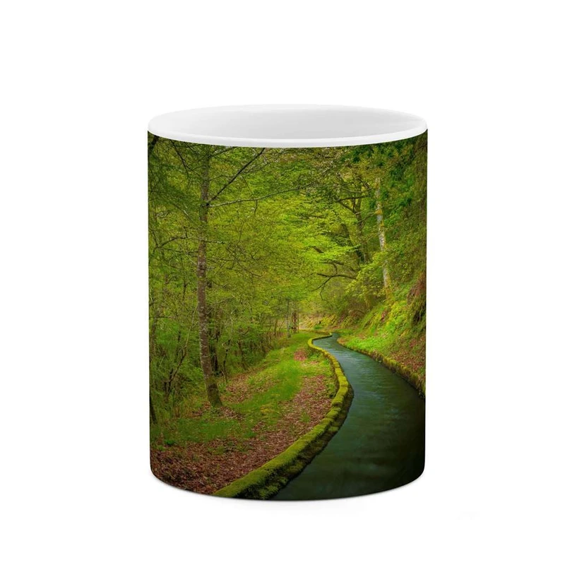 ماگ کاکتی مدل منظره کد mgh13160