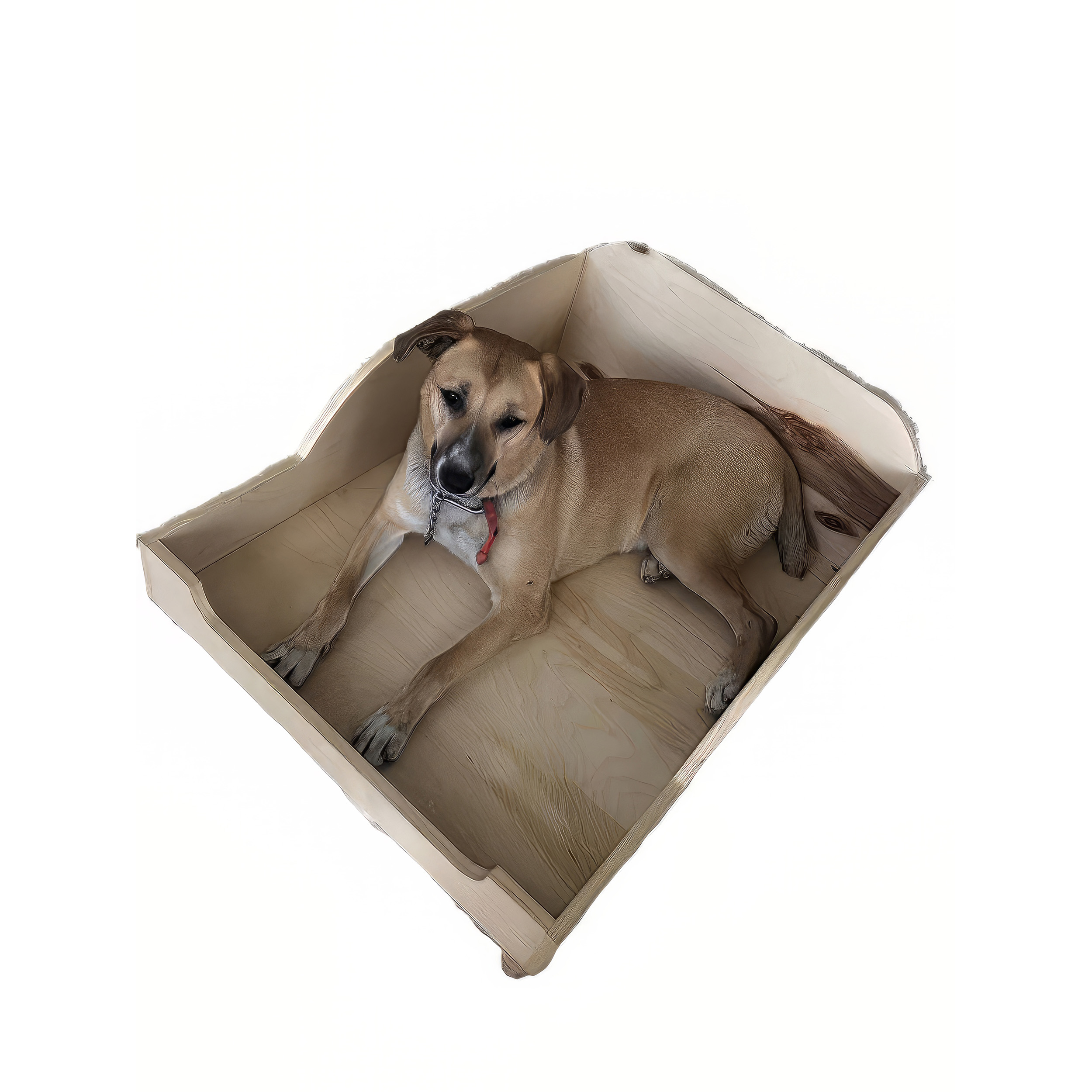 تخت خواب سگ مدل نانا