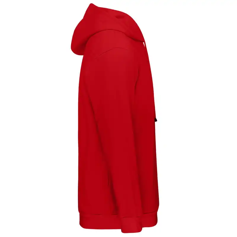 هودی زنانه طائمه مدل سوان کد 0990