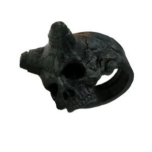 نقد و بررسی انگشتر مدل اسکلت شاخدار کد Skull 1019 توسط خریداران