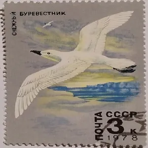 تمبر یادگاری مدل طبیعت 1978