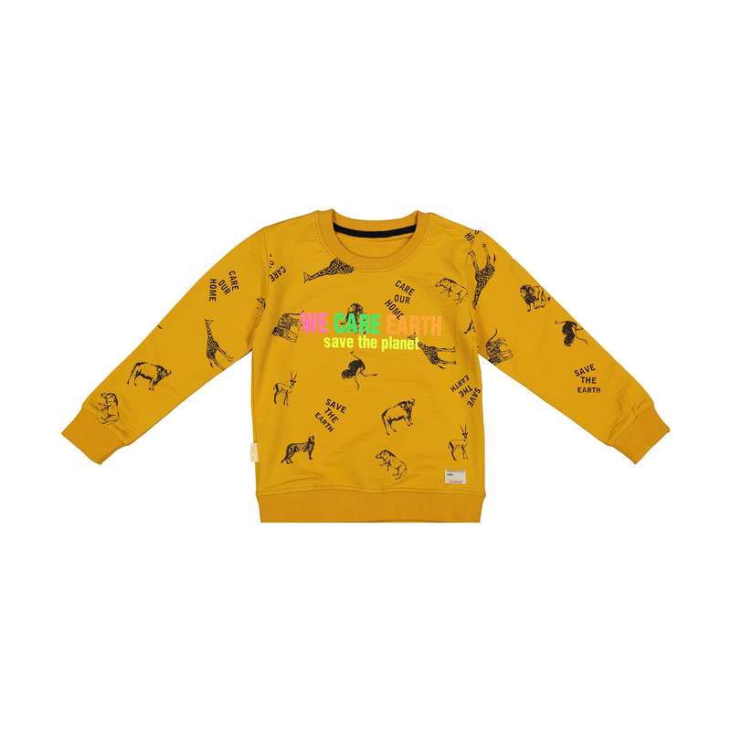 سویشرت پسرانه کیکی رایکی مدل KBB2551-003