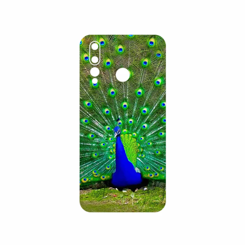 برچسب پوششی ماهوت مدل Peacock مناسب برای گوشی موبایل هوآوی Nova 4