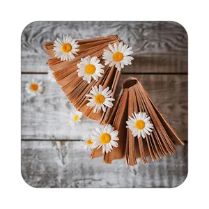 زیر لیوانی کاکتی طرح گل مدل mp18194