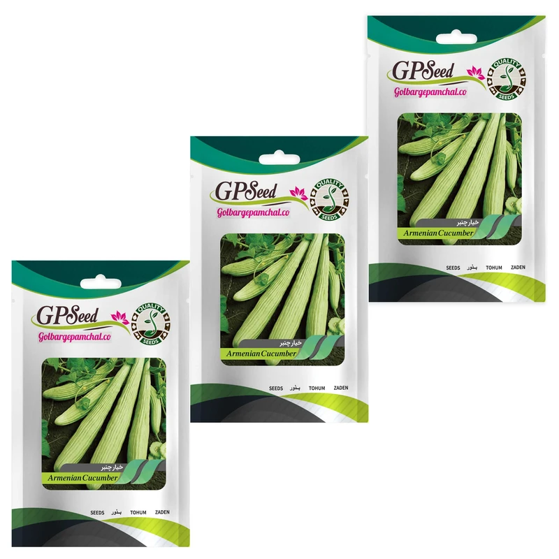 بذر خیار چنبر گلبرگ پامچال کد GPF-114 مجموعه 3 عددی 