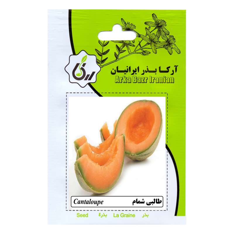 بذر طالبی شمام آرکا بذر ایرانیان کد ARK-167