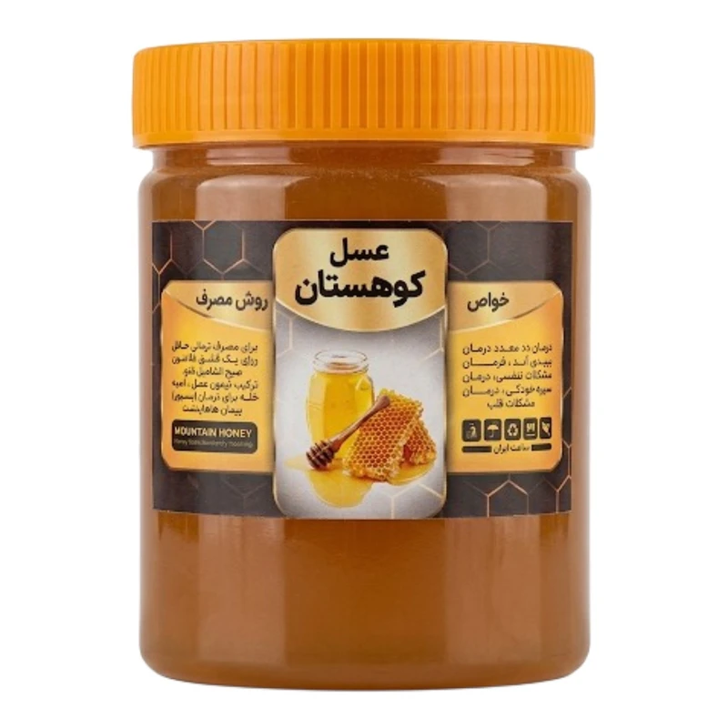 عسل طبیعی کوهستان - 500 گرم