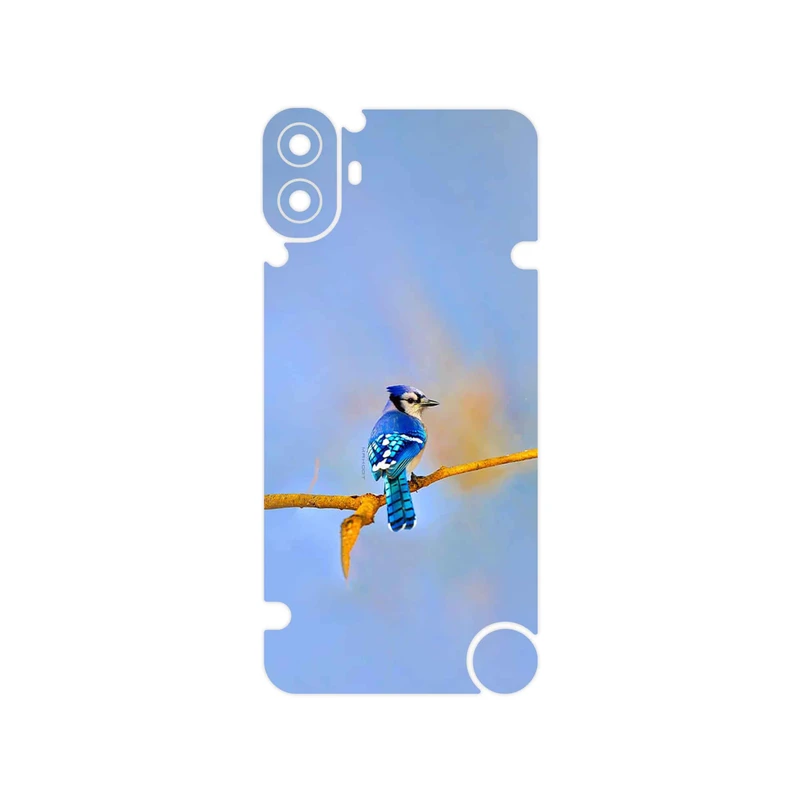 برچسب پوششی ماهوت مدل Cyanocitta cristata مناسب برای گوشی موبایل ناتینگ CMF Phone 1