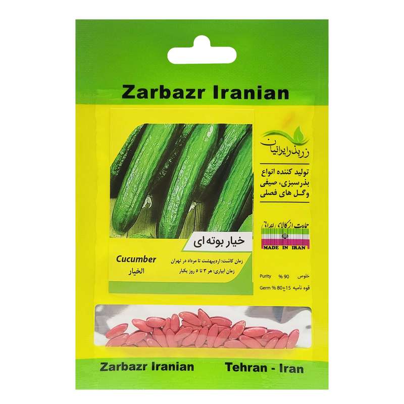 بذر خیار بوته ای زر بذر ایرانیان کد ZBP-52