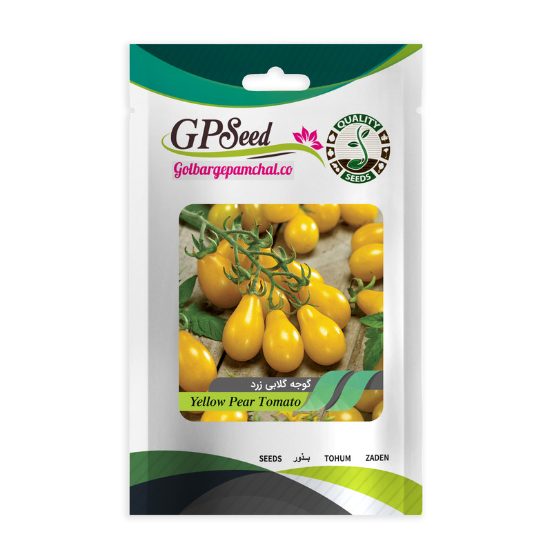 بذر گوجه گلابی زرد جی پی سید مدل GP1992