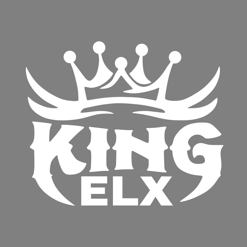 برچسب بدنه خودرو ماتریسیو طرح KING ELX کد M174