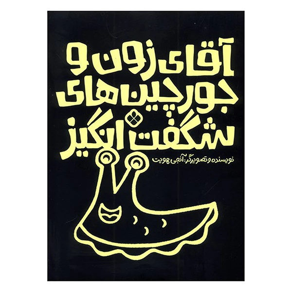 کتاب آقای زون و جورچين هاي شگفت انگيز اثر آنجی هویت ترجمه کیمیا مقدم انتشارات پنجره