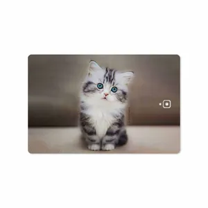 MAHOOT Cat-2 Cover Sticker for Samsung Galaxy Tab S3 9.7 2017 T825