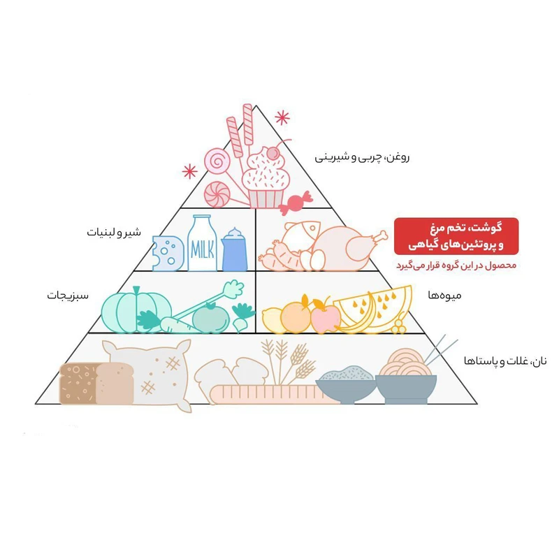 ماهیچه ران گوسفند داخلی مهیا پروتئین - 0.8 کیلوگرم عکس شماره 4