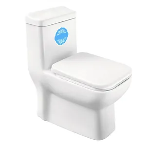 توالت فرنگی دو زمانه مینا مدل رومینا